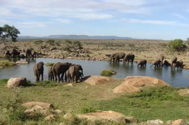 Tailor Made Holidays & Bespoke Packages for Four Seasons Safari Lodge Serengeti